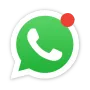 Chat WhatsApp